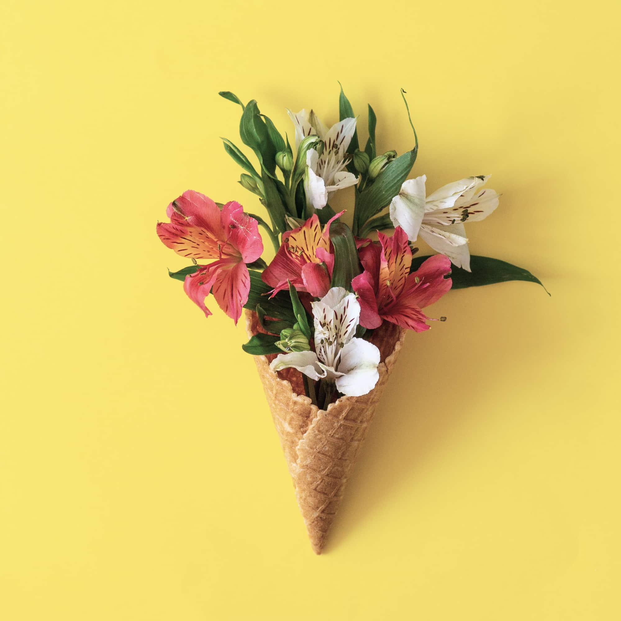 Ram de flors acolorides en con de gelat, simbolitzant salut, benestar i qualitat de vida.
