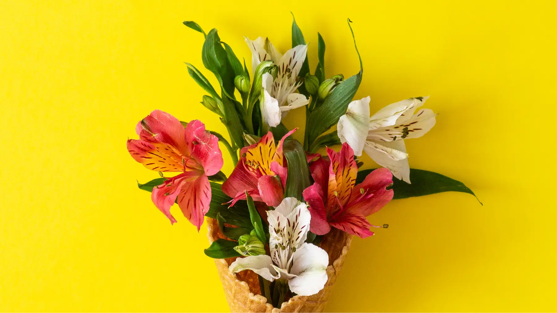 Ramo de flores coloridas en cono de helado, simbolizando salud, bienestar y calidad de vida. 