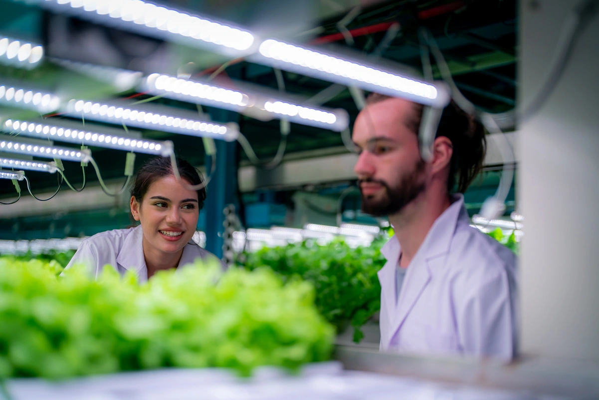 Científicos revisando cultivos en laboratorio, representando la bioeconomía como clave para sostenibilidad e innovación agrícola.