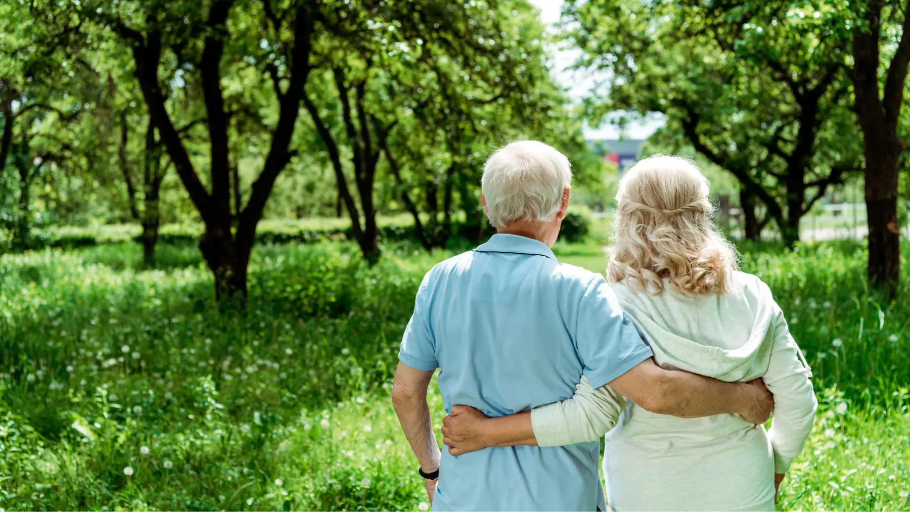 Pareja de adultos mayores caminando juntos en un parque, simbolizando la evolución de las pensiones.