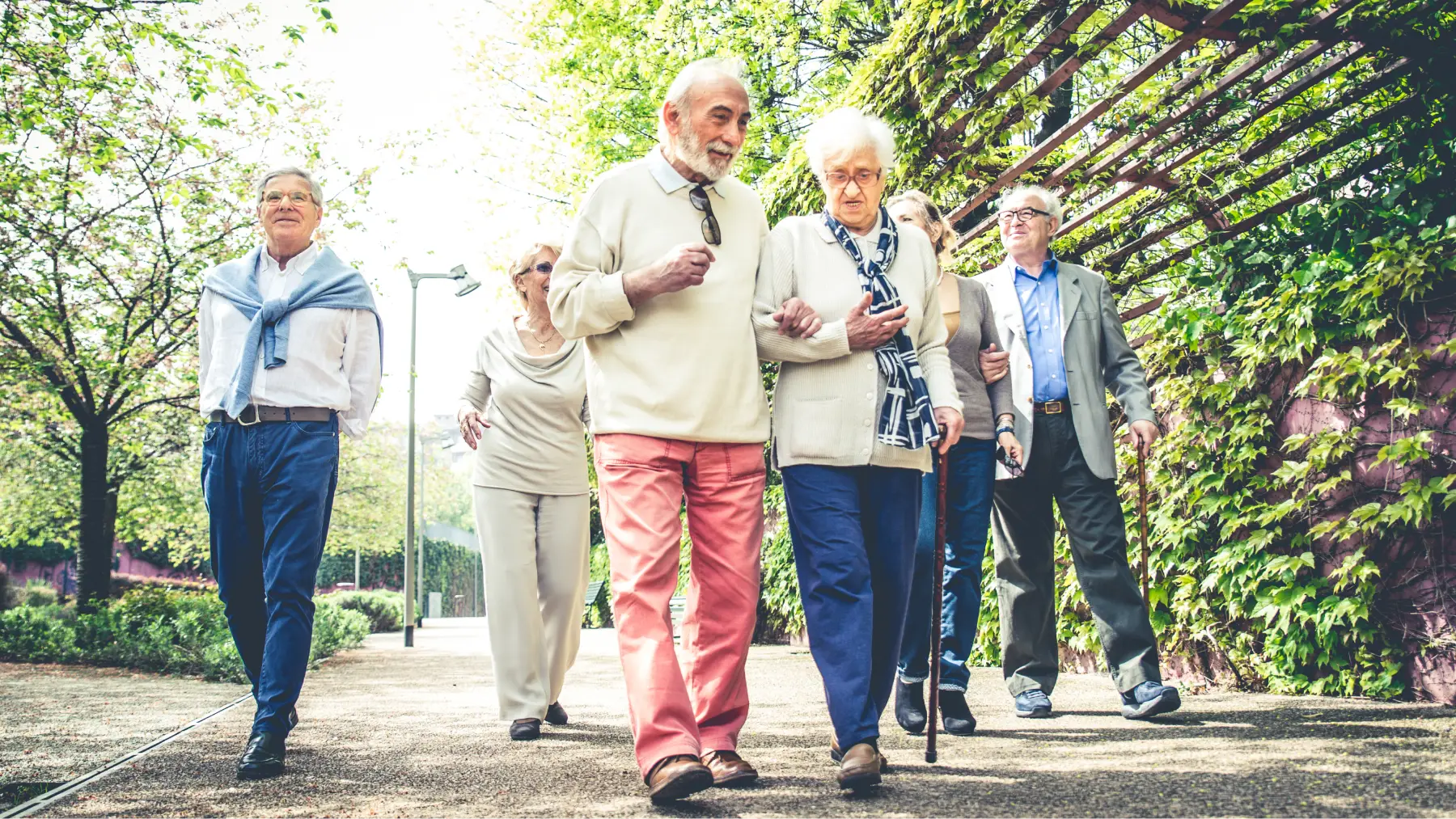 Grup de jubilats caminant alegrement en un parc, representant programes de l'IMSERSO.