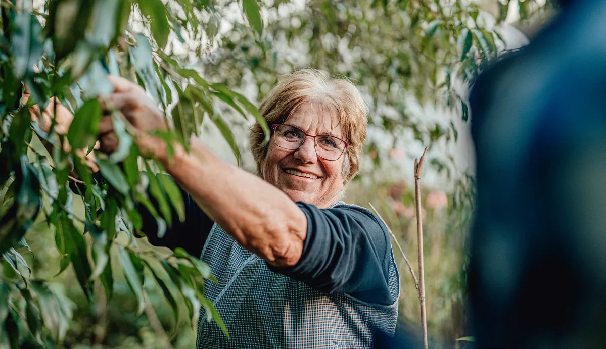dona jubilada recollint fruites a l'hort gràcies al règim agrari